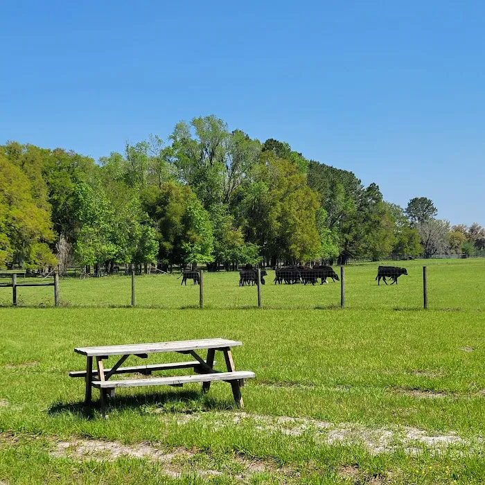 Red Rooster RV Park 1