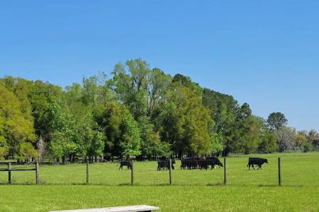 Red Rooster RV Park