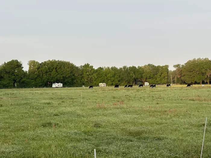 Red Rooster RV Park 8