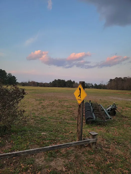 Woodland RV Resort & Campground 7