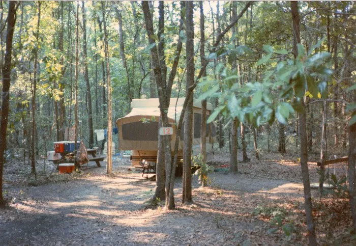Ichetucknee Springs Campground 3