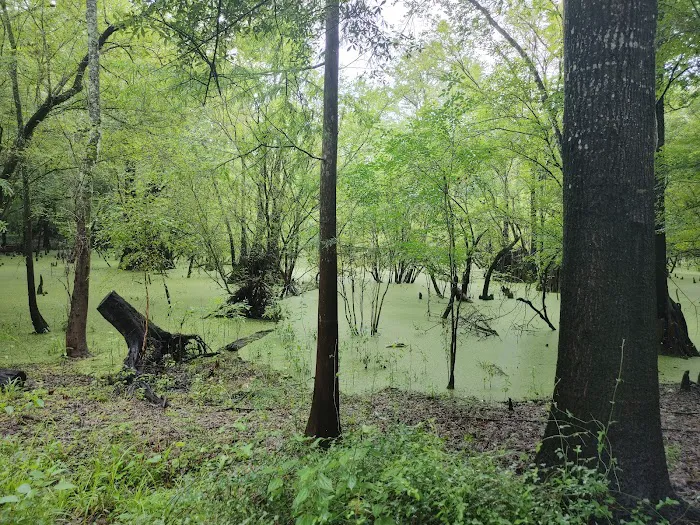 Hart Springs RV Campground 7