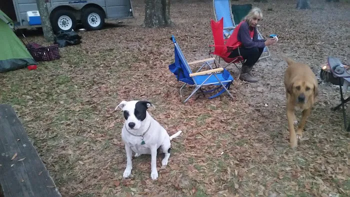 O'Leno River Rise Horse Camping And Trails 1