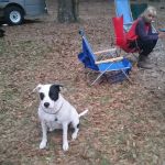 O'Leno River Rise Horse Camping And Trails
