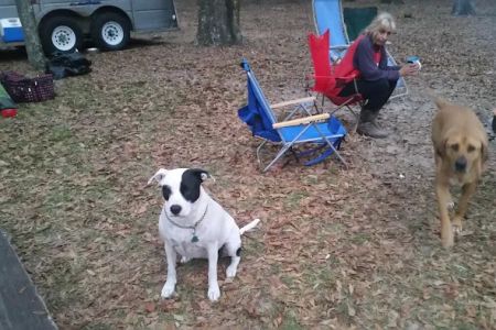 O'Leno River Rise Horse Camping And Trails
