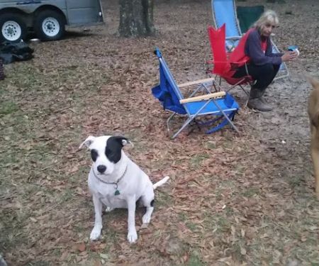 O'Leno River Rise Horse Camping And Trails