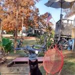 Brantley Mobile Home Park