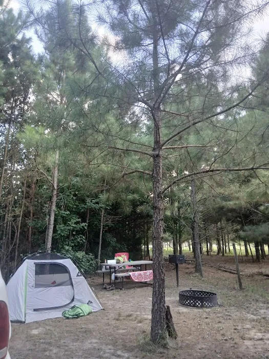 Piney Hills Campground 8