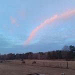 Two Horse Wagon RV Park