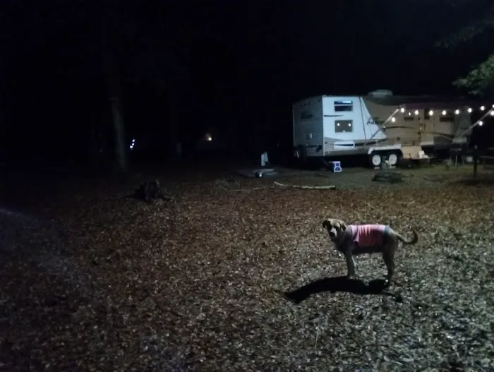 Buck Creek Campground 9