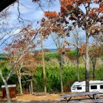 Hidden Springs Campground