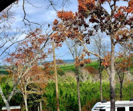 Hidden Springs Campground