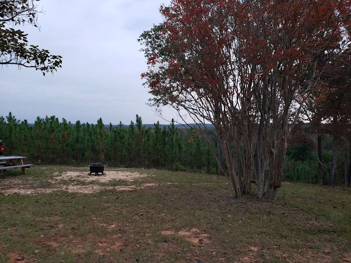Hidden Springs Campground 7