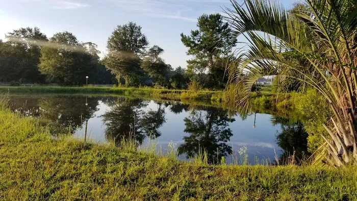 Palm RV Park 8