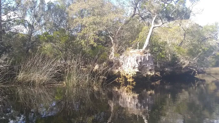 Steinhatchee Village RV Park 5