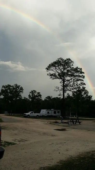 Steinhatchee Village RV Park 7