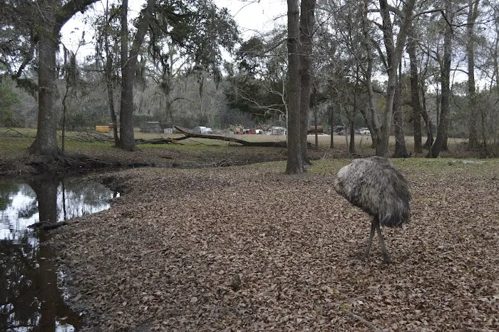 Travelers Campground 9