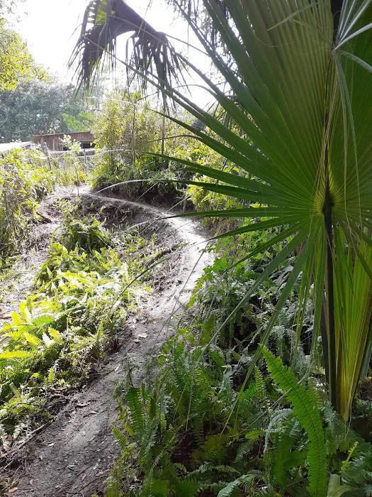 Suwannee Plantation 4