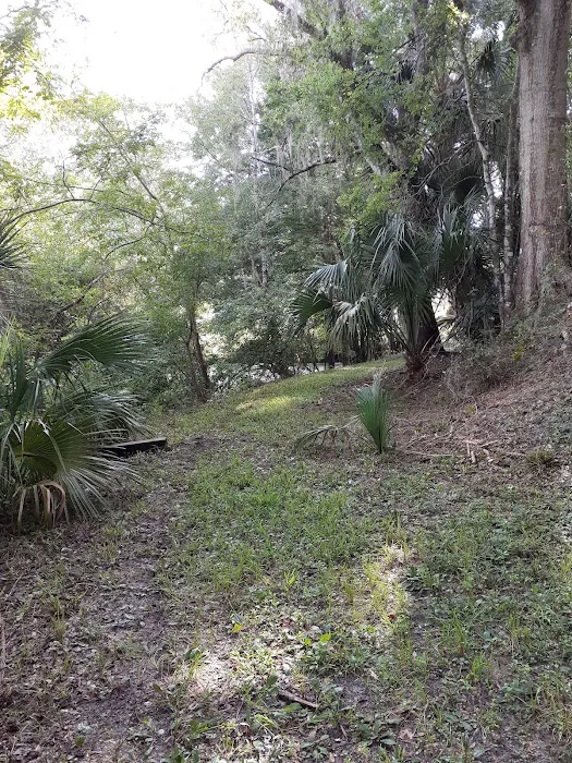 Suwannee Plantation 3