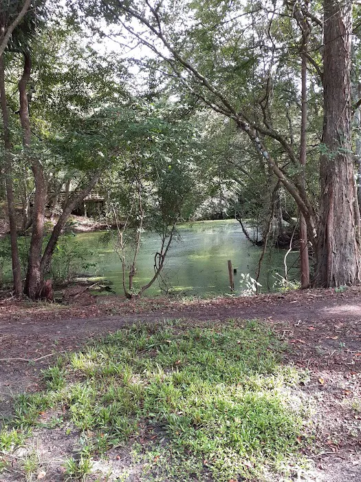 Suwannee Plantation 5