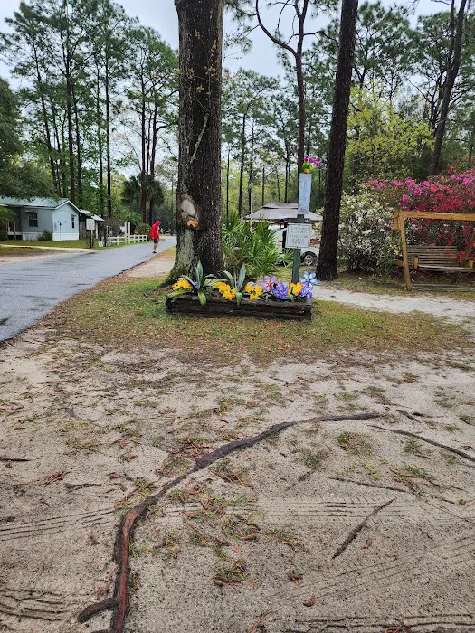 Old Town Campground 5
