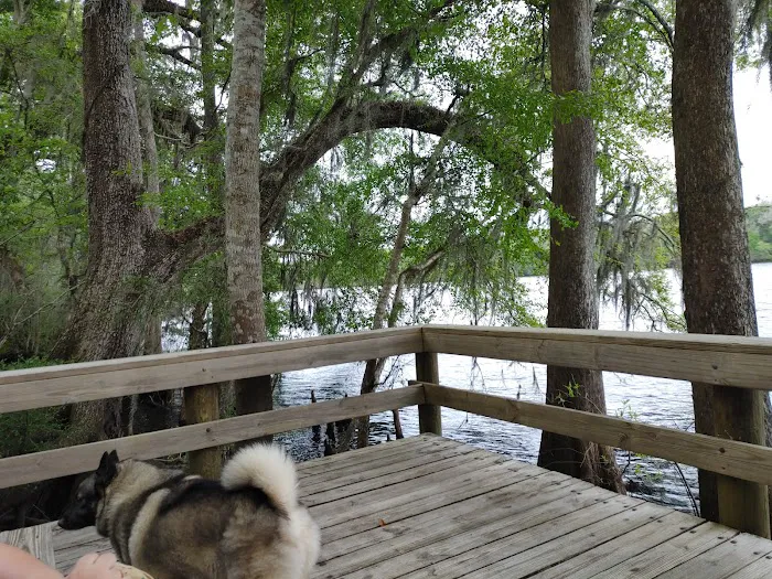 The Hideaway Campground 6