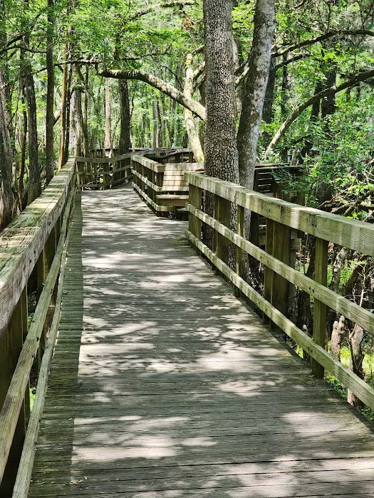 Manatee Springs State Park Campground 2