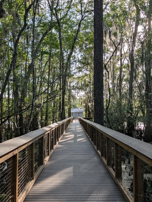 Manatee Springs State Park Campground 5