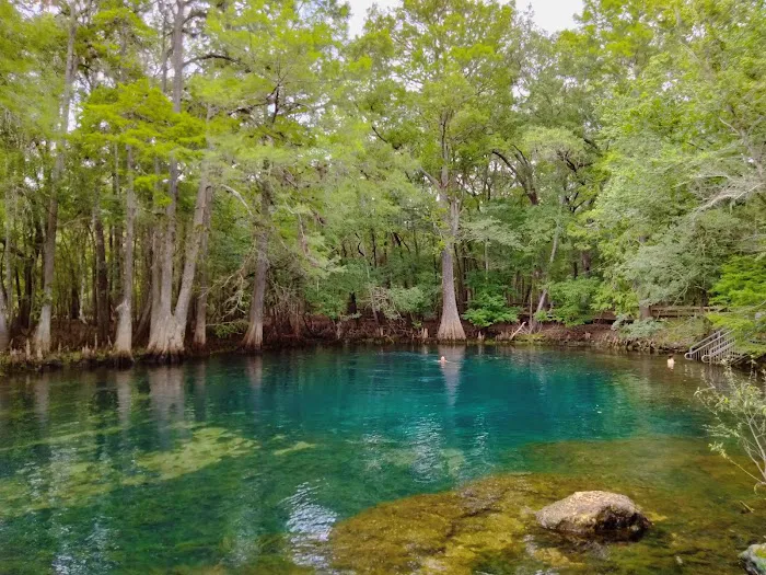 Manatee Springs State Park Campground 3