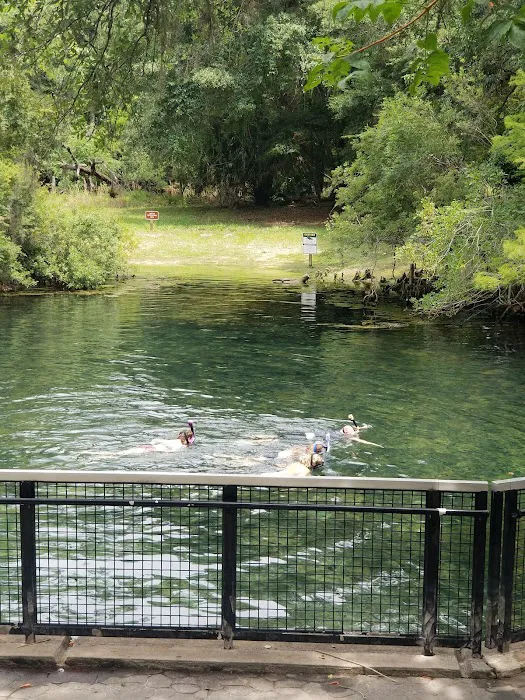 Manatee Springs State Park Campground 8