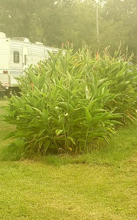 Pecan Grove RV Park 10