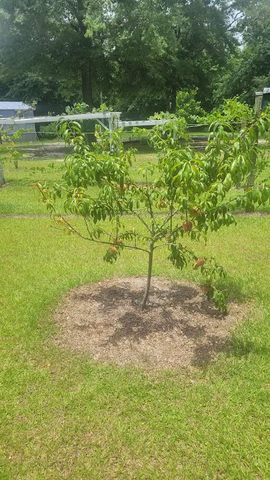 JP FARMS PRIVATE RV PARK 10