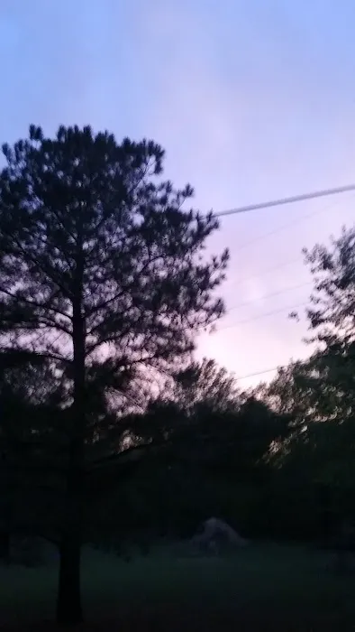 Trailer Park 1