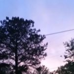 Trailer Park
