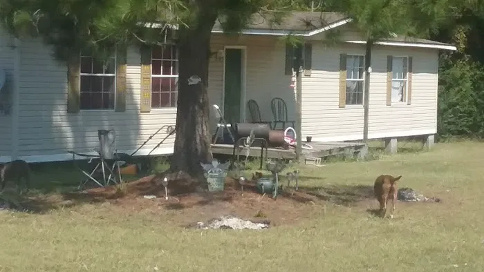Trailer Park 6