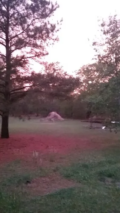 Trailer Park 5