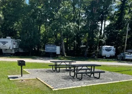 Branching Pines RV Community 6