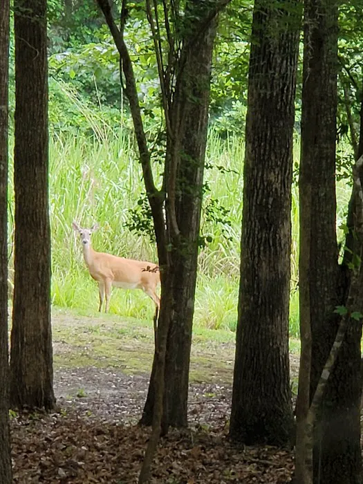Bluff Creek Park 2