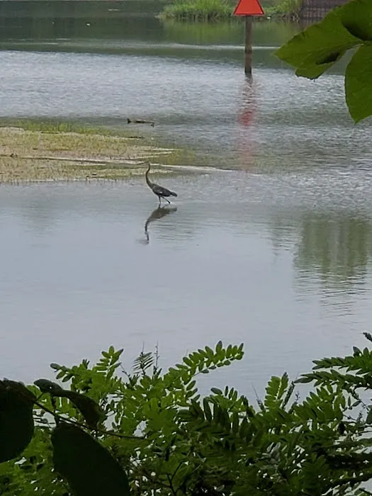Bluff Creek Park 7