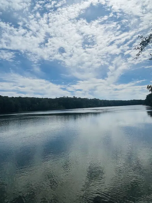 Bluff Creek Park 10