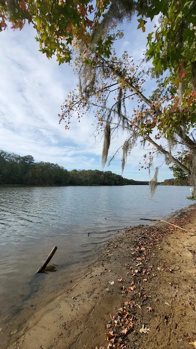 Bluff Creek Park 9