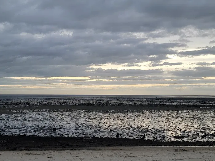Shired Island Campground 7