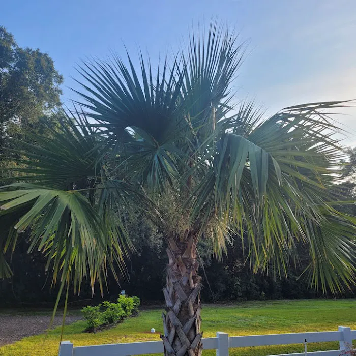 Manatee Springs RV Park 2