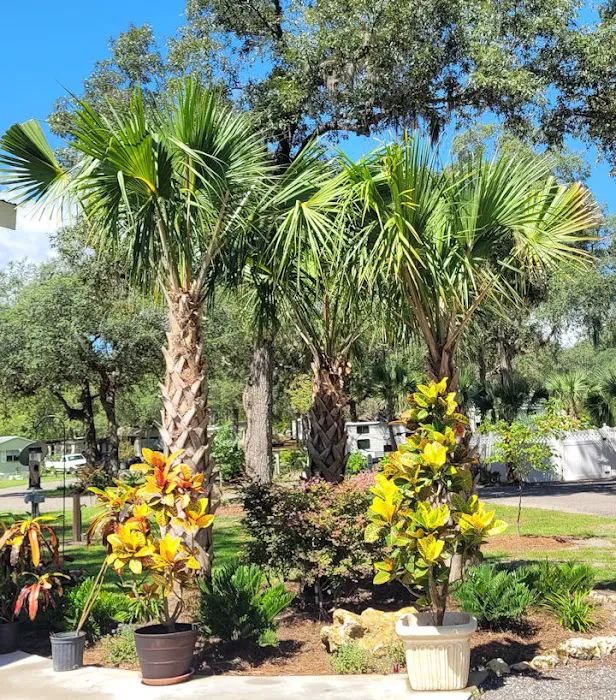 Manatee Springs RV Park 6