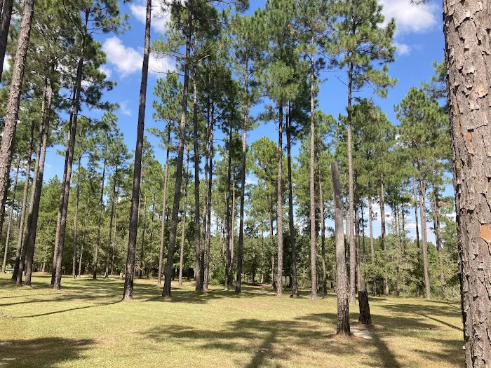 Whispering Pines RV Park 3