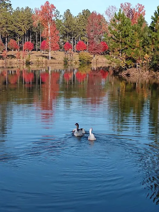 Whispering Pines RV Park 2