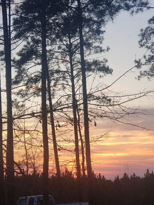 Whispering Pines RV Park 6