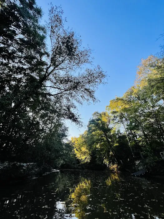 Middle Fork Campground 8