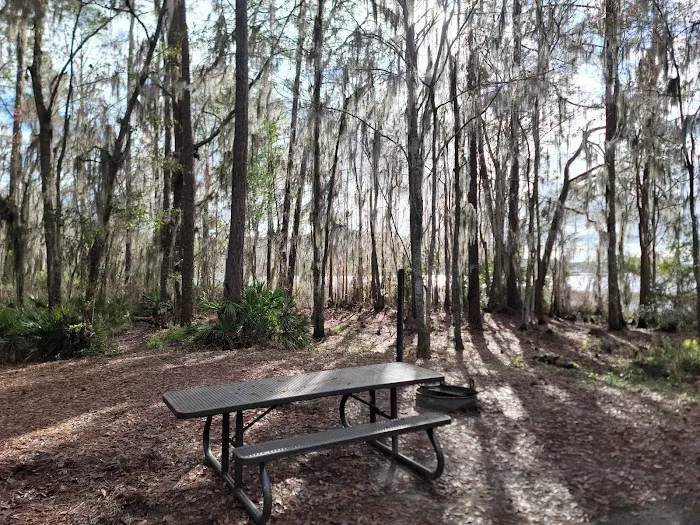 Ocean Pond Campground 2