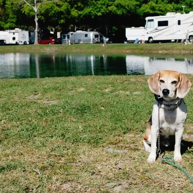 Gainesville RV Park, Boat & RV Storage 2